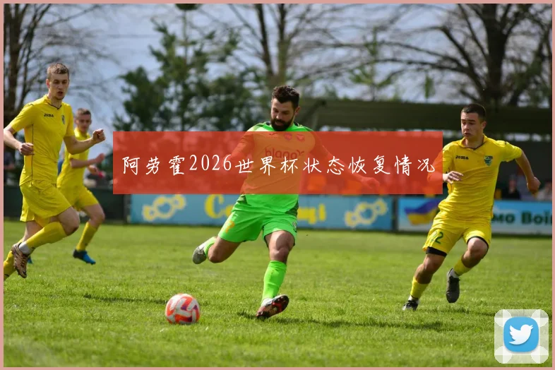阿劳霍2026世界杯状态恢复情况