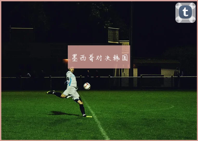墨西哥对决韩国