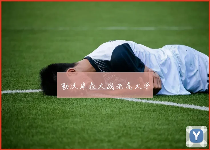 勒沃库森大战老虎大学