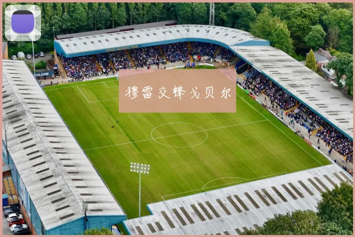 穆雷交锋戈贝尔