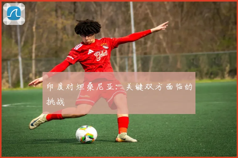 印度对坦桑尼亚：关键双方面临的挑战