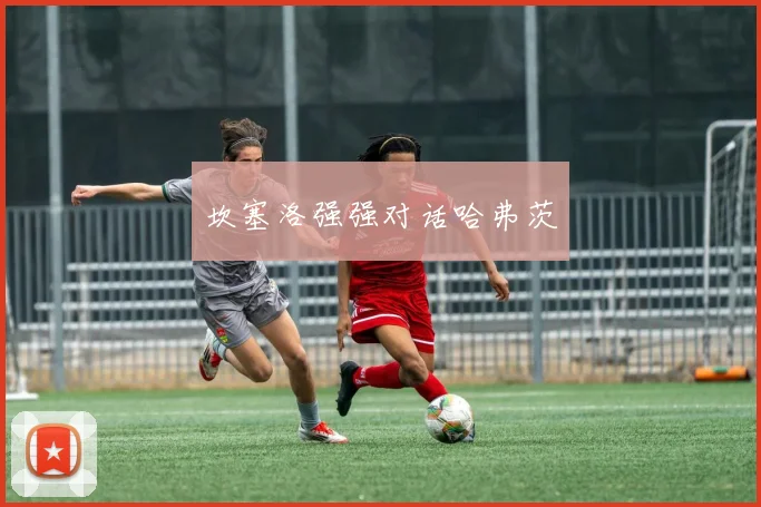 坎塞洛强强对话哈弗茨