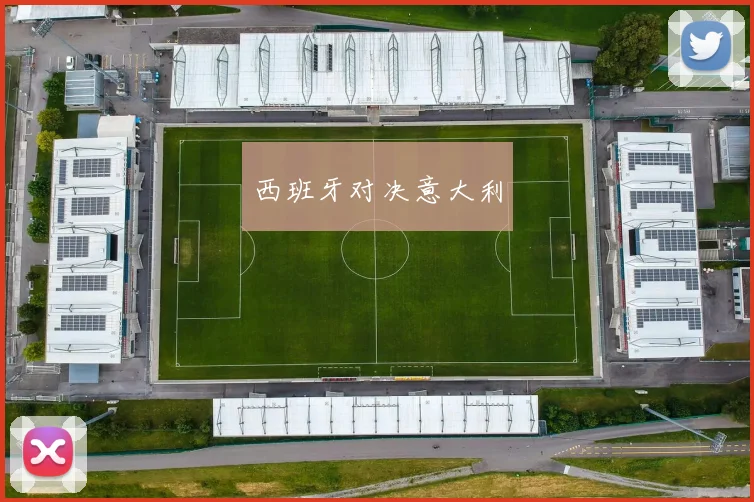 西班牙对决意大利