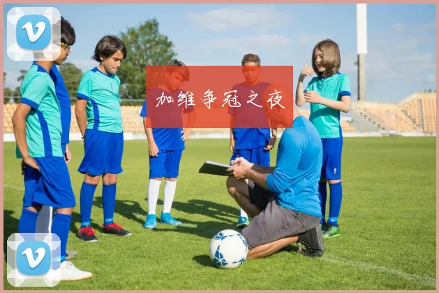 加维争冠之夜