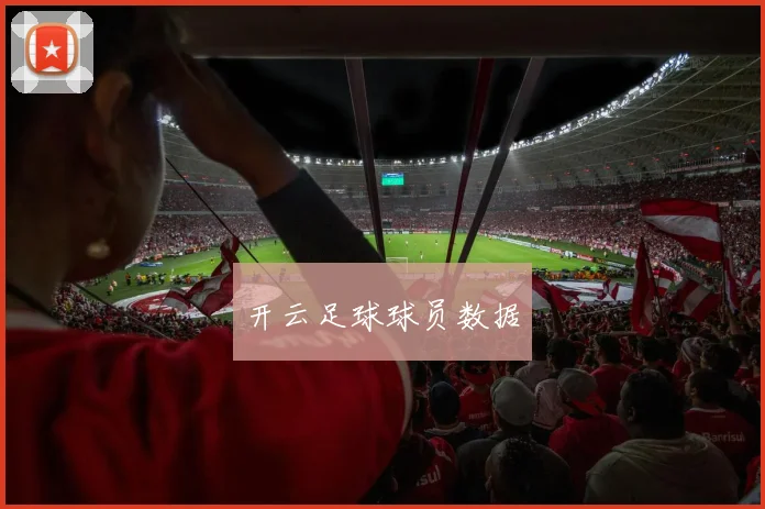 开云足球球员数据