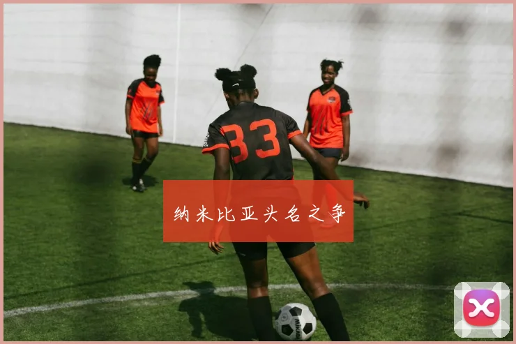纳米比亚头名之争