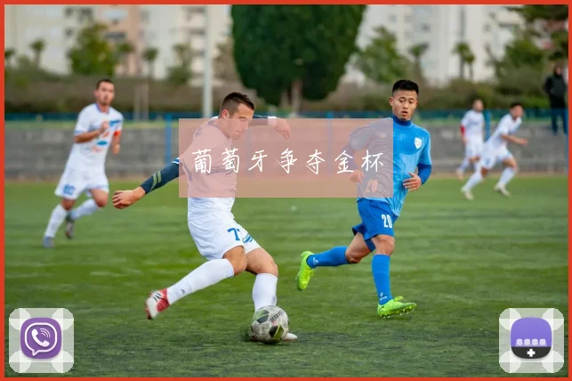 葡萄牙争夺金杯