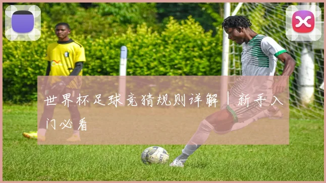 世界杯足球竞猜规则详解｜新手入门必看