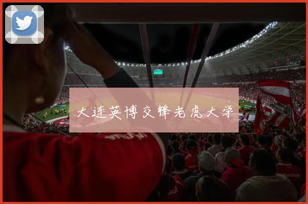 大连英博交锋老虎大学