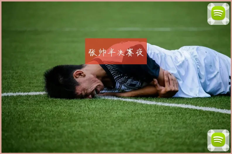 张帅半决赛夜