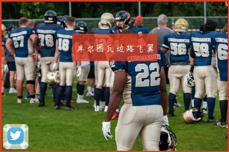 库尔图瓦边路飞翼