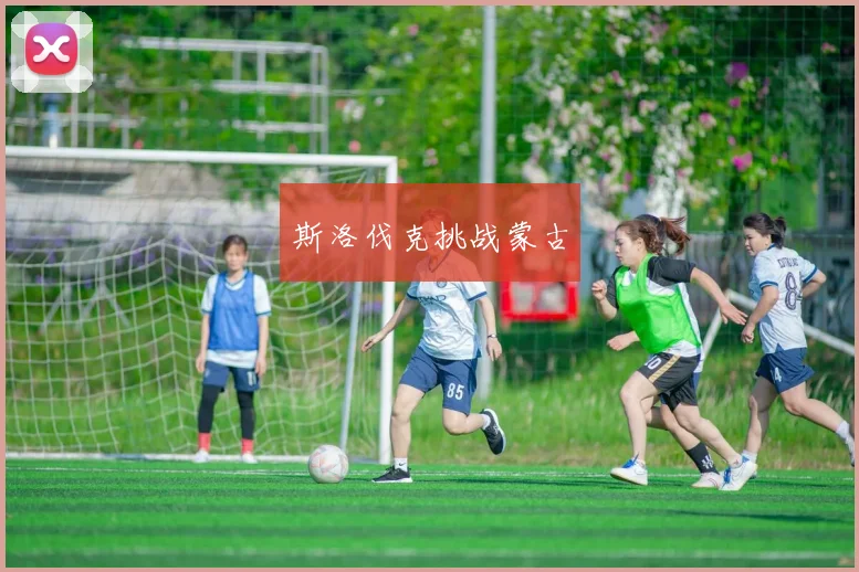 斯洛伐克挑战蒙古
