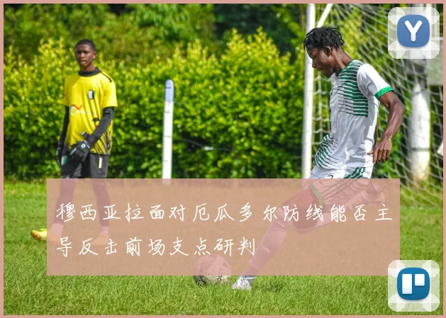 穆西亚拉面对厄瓜多尔防线能否主导反击前场支点研判