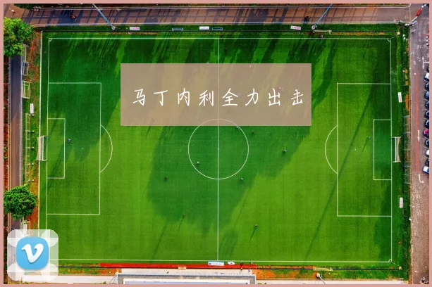 马丁内利全力出击