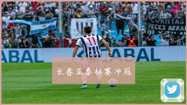 长春亚泰杯赛冲冠