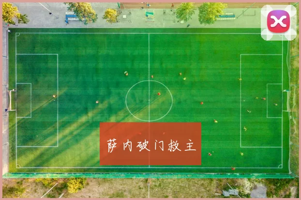 萨内破门救主