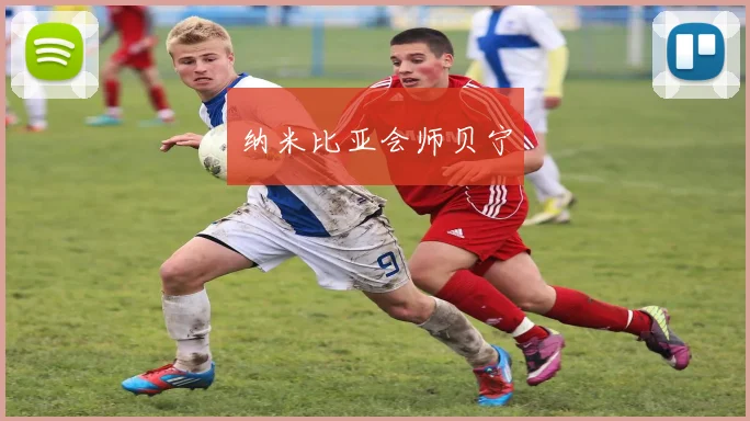 纳米比亚会师贝宁