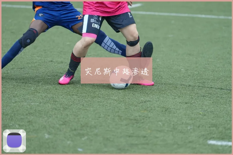 突尼斯中路渗透