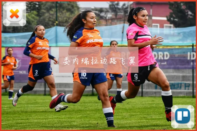 委内瑞拉边路飞翼