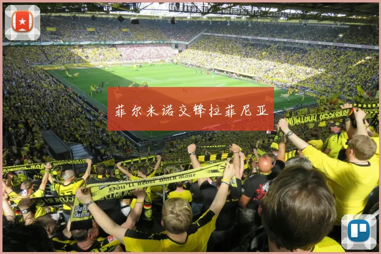 菲尔米诺交锋拉菲尼亚