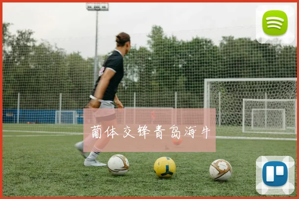葡体交锋青岛海牛