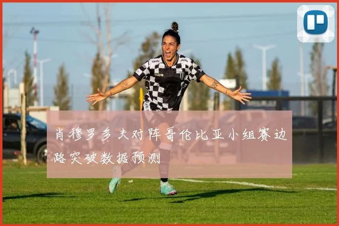 肖穆罗多夫对阵哥伦比亚小组赛边路突破数据预测