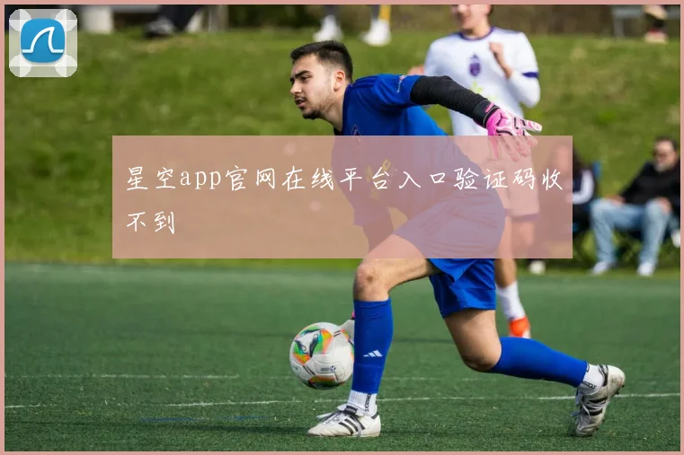 星空app官网在线平台入口验证码收不到